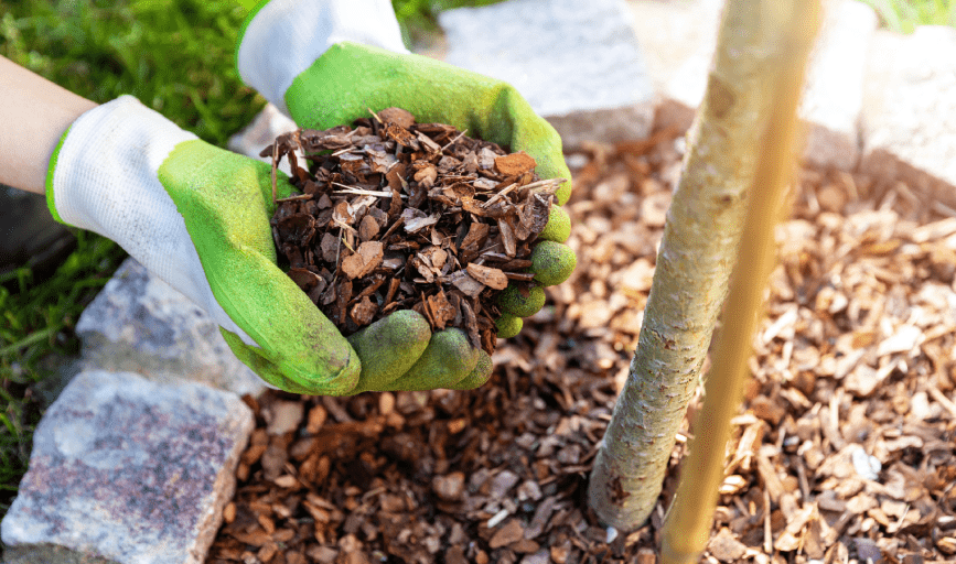 MULCHING
